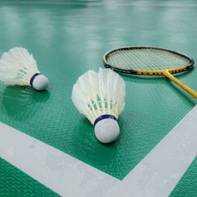Badminton Court